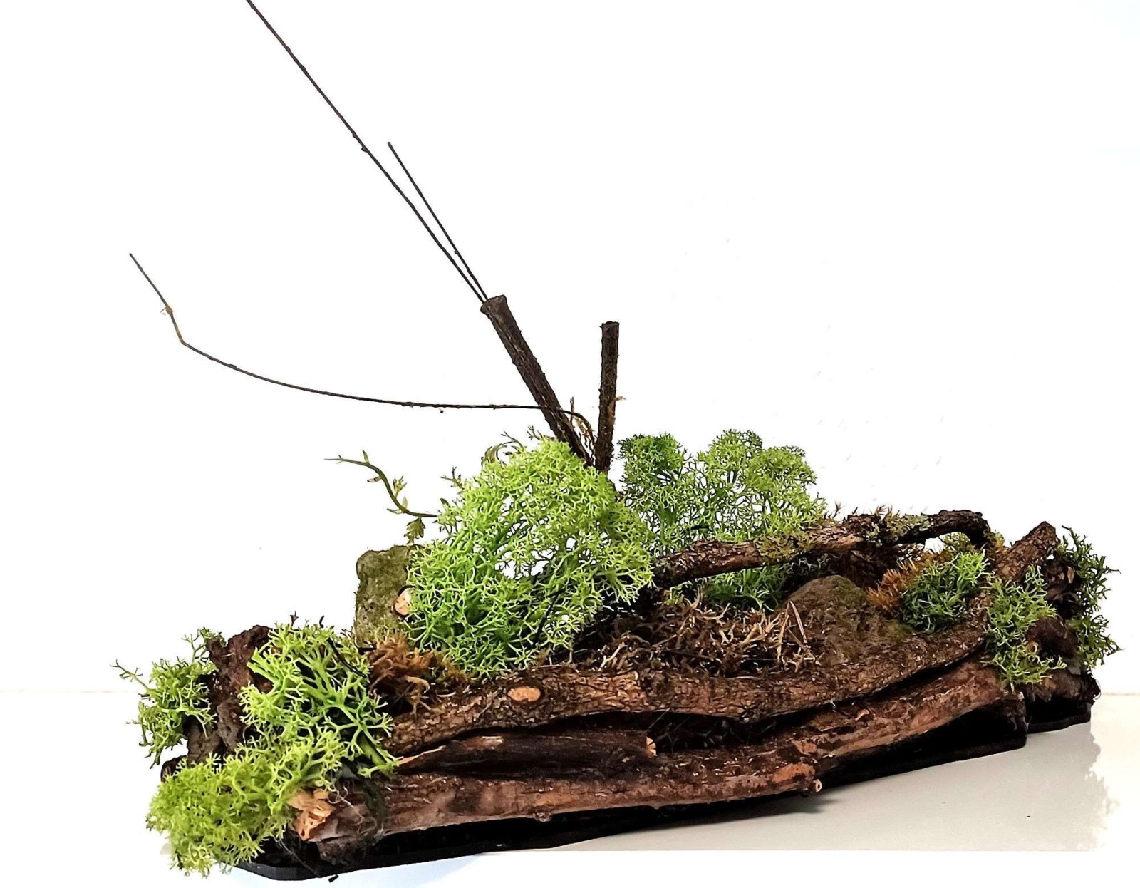 Moosbilder Samstag Workshop in Solingen