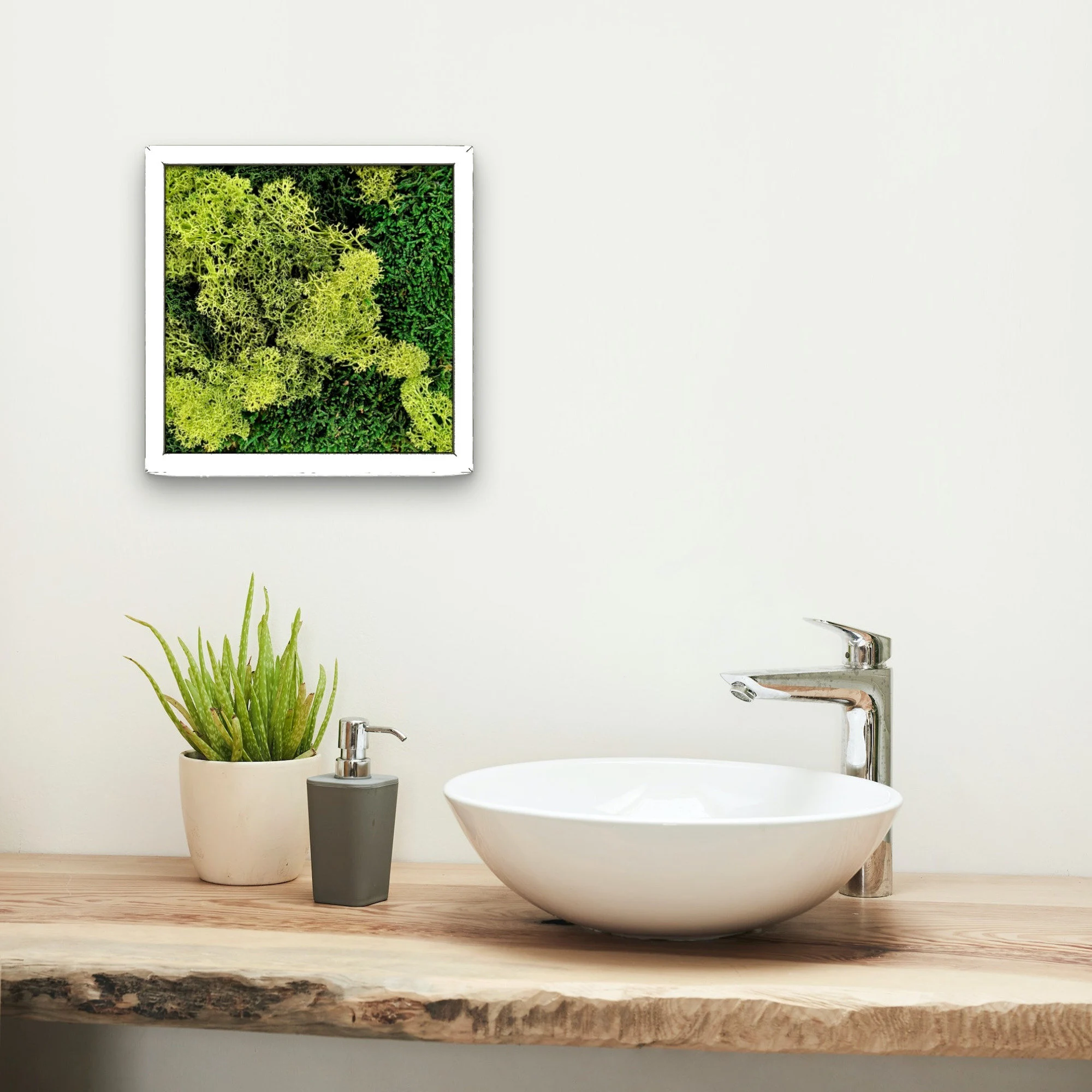 Moosbilder selber machen. Workshops in Solingen