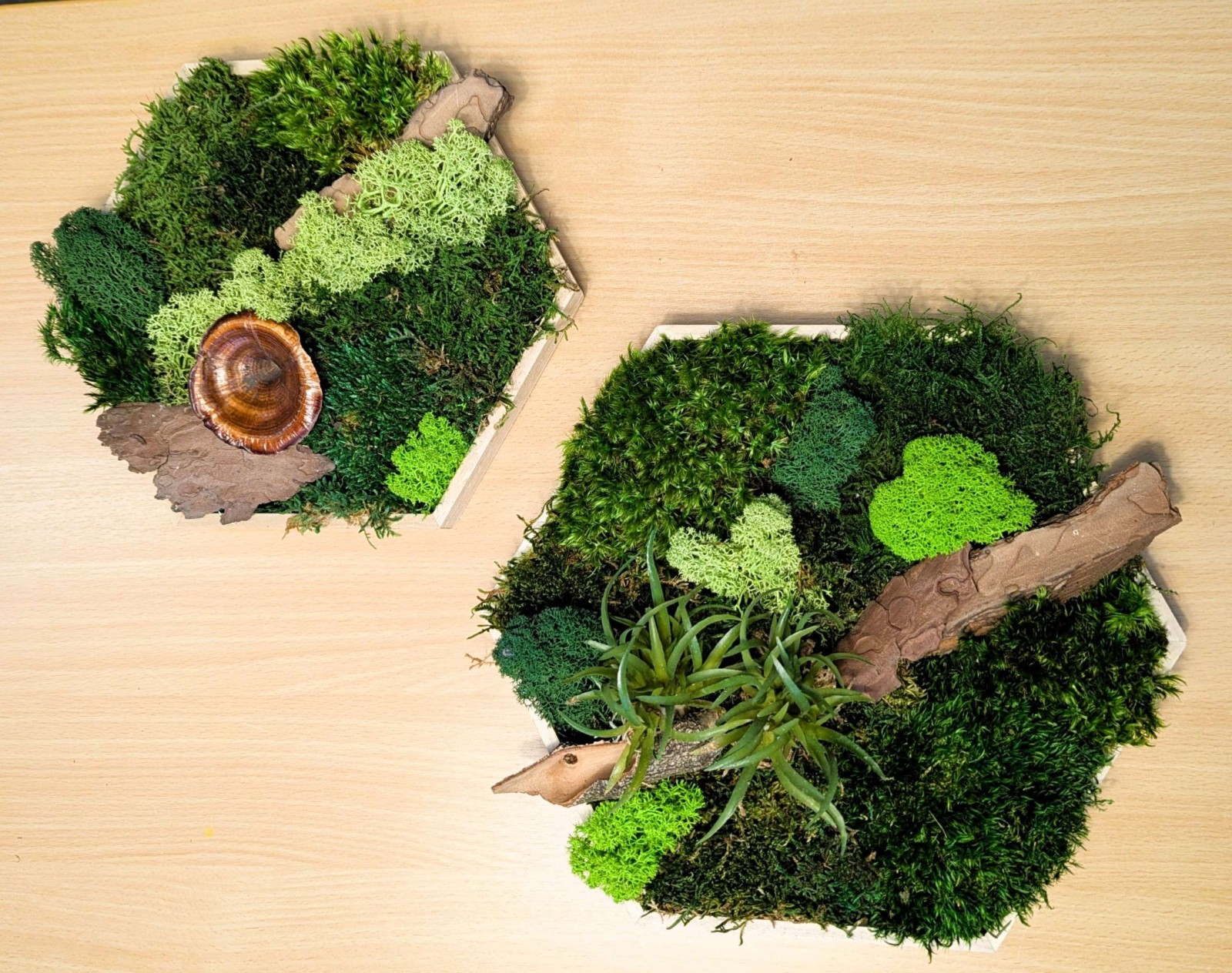 Workshop Moosbilder in Solingen