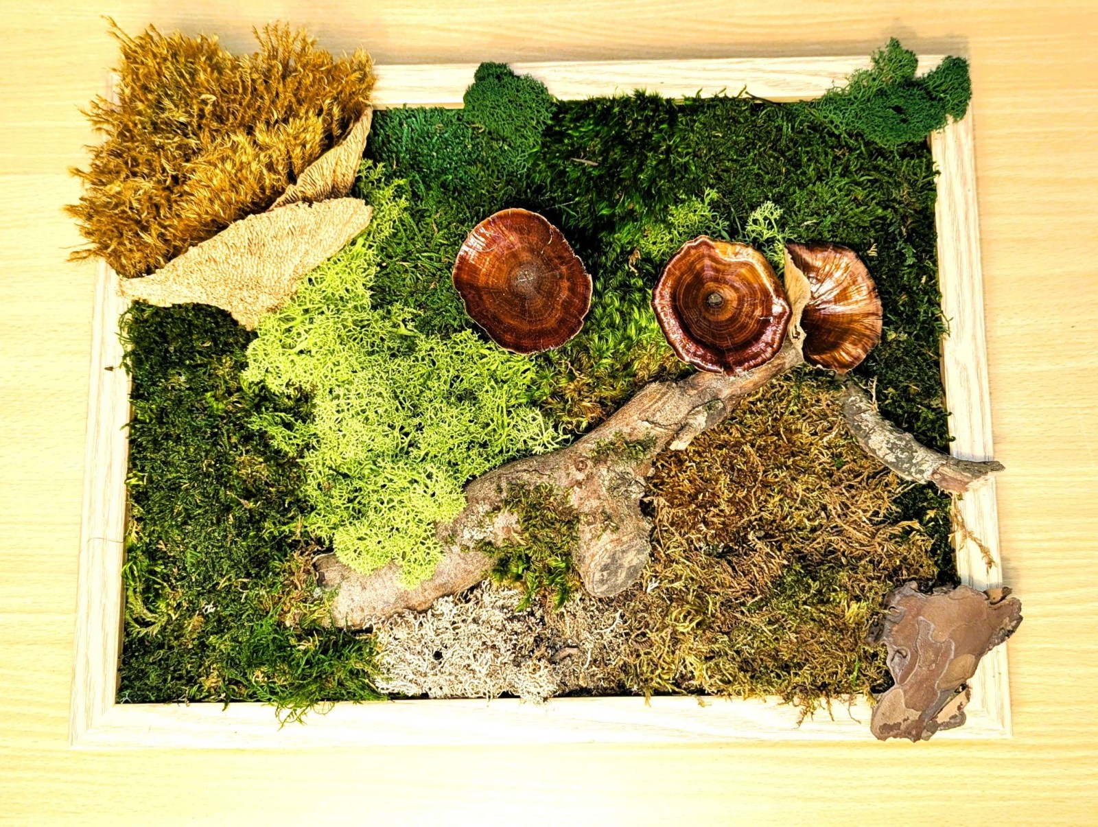 Moosbilder selber machen mit getrockneten Pilzen und Moosen