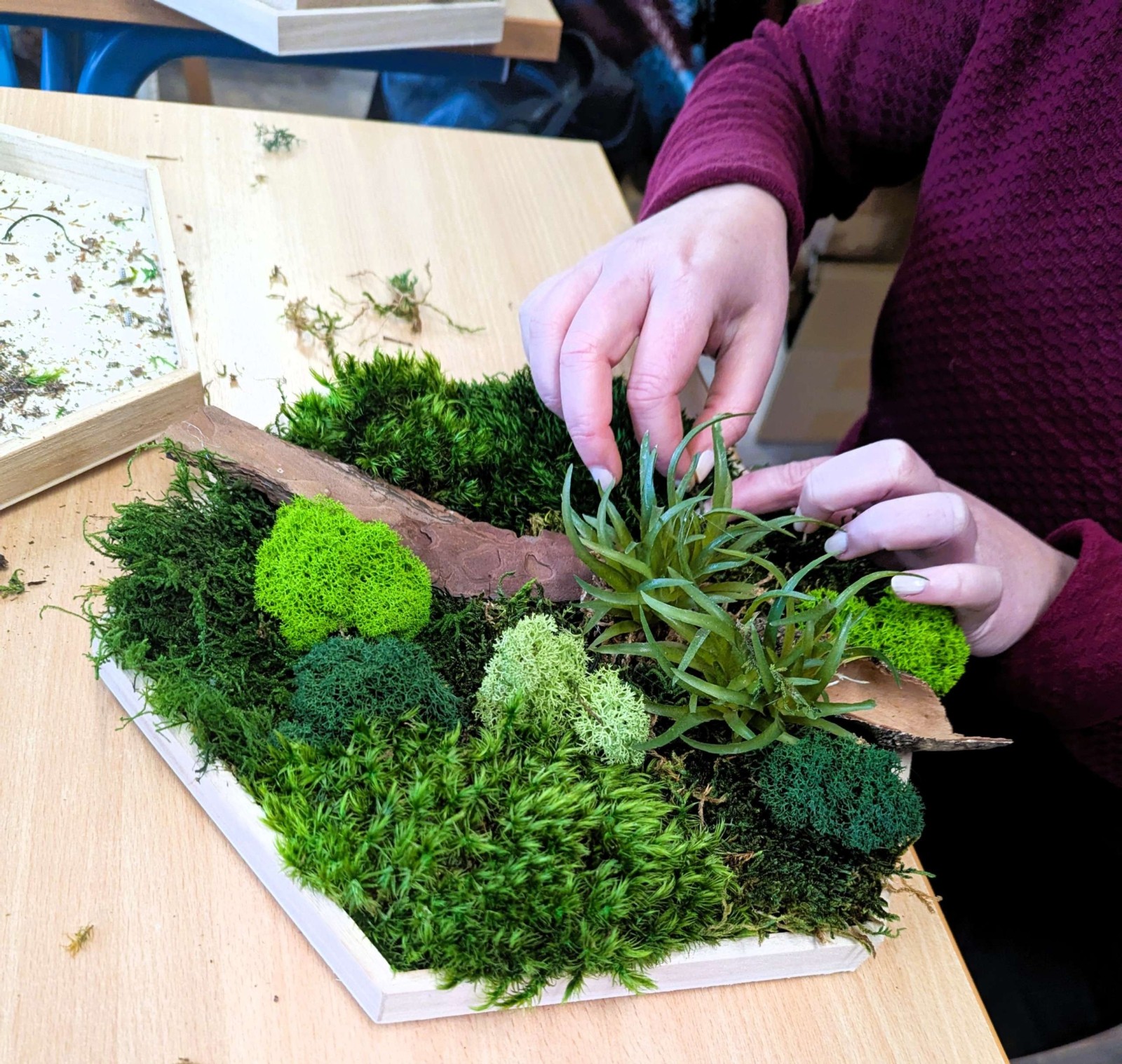 Moosbilder selber machen in Solingen