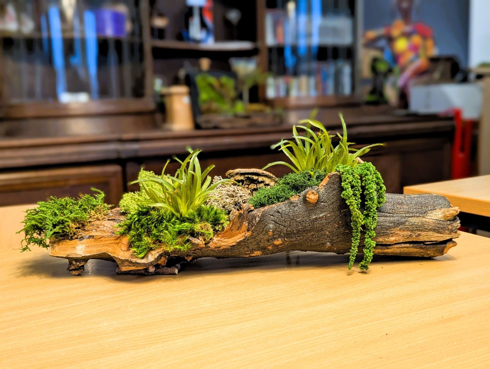 Moosskulptur mit hohlen Ast und konservierten Moosen