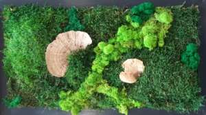 Titus Schwan Kunstschule Solingen Malkurse für jedes Alter