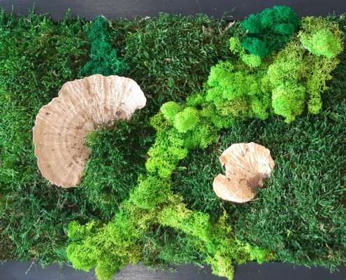 Titus Schwan Kunstschule Solingen Malkurse für jedes Alter