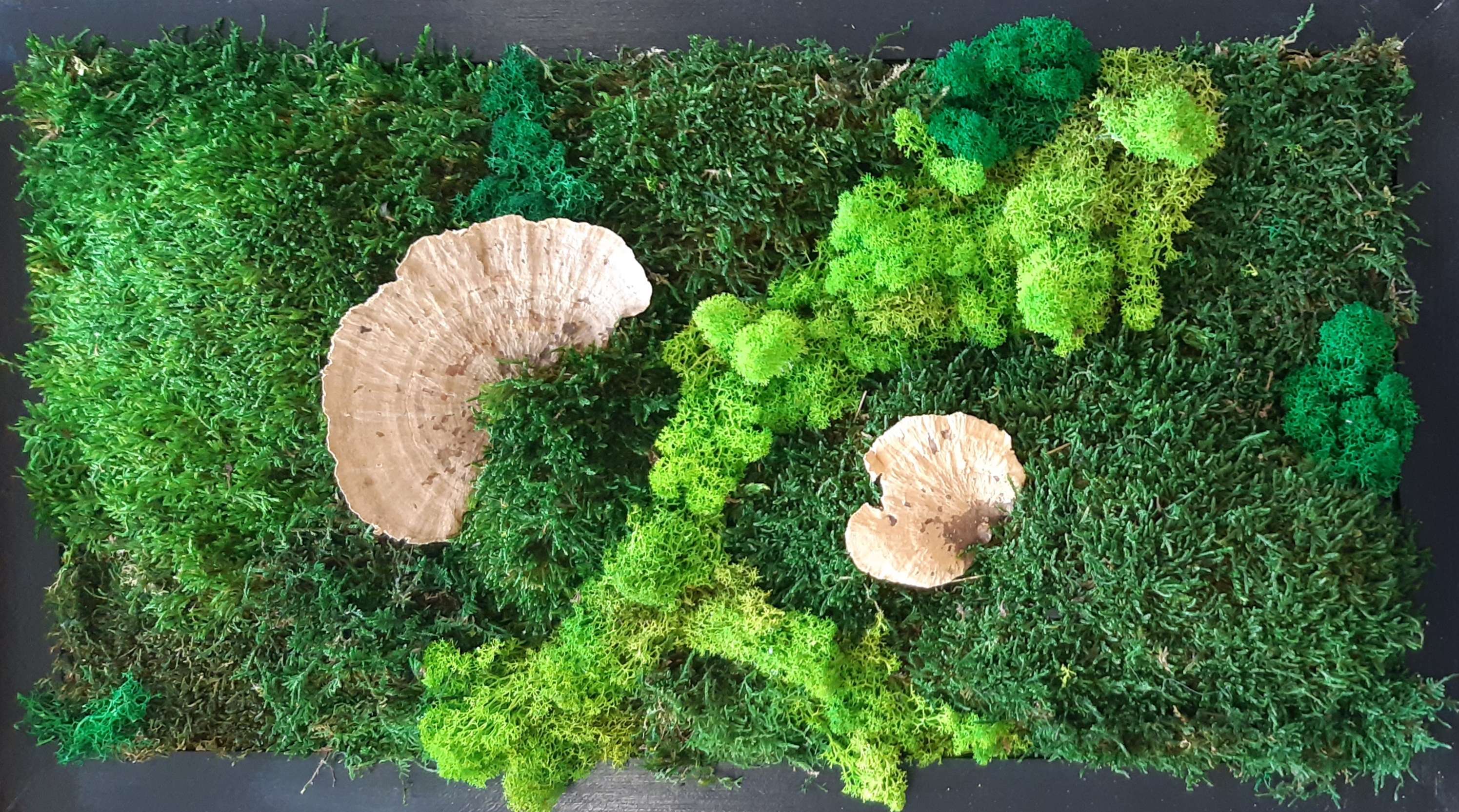 Titus Schwan Kunstschule Solingen Malkurse für jedes Alter