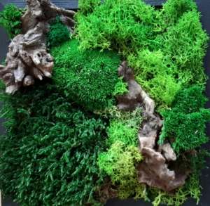 Titus Schwan Kunstschule Solingen Malkurse für jedes Alter