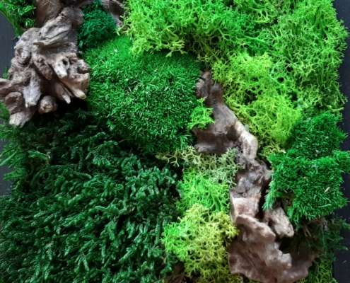 Titus Schwan Kunstschule Solingen Malkurse für jedes Alter