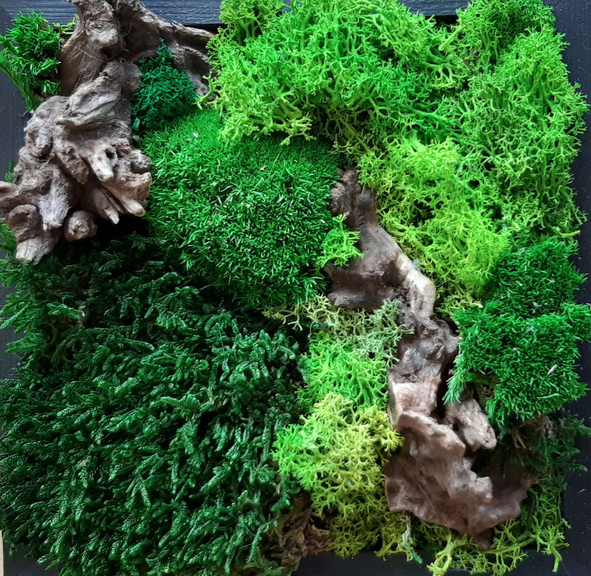 Titus Schwan Kunstschule Solingen Malkurse für jedes Alter