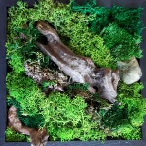 Titus Schwan Kunstschule Solingen Malkurse für jedes Alter