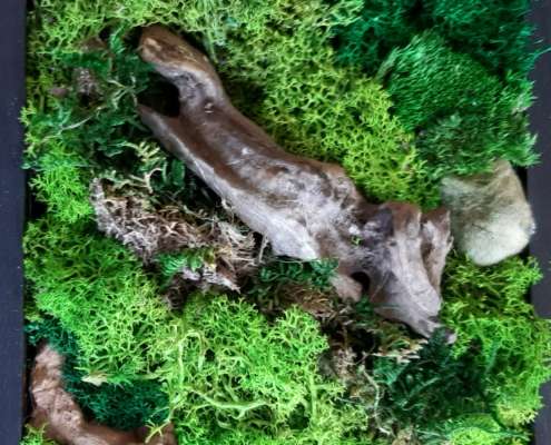 Titus Schwan Kunstschule Solingen Malkurse für jedes Alter