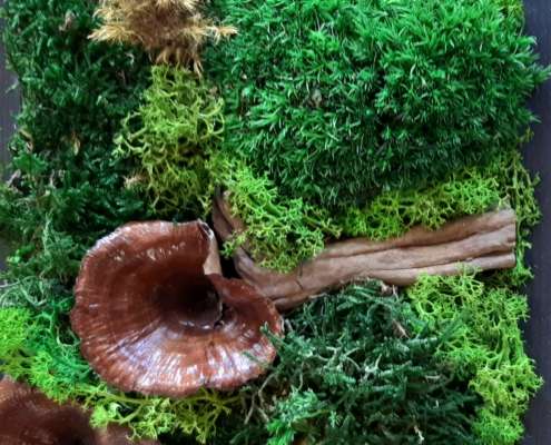 Titus Schwan Kunstschule Solingen Malkurse für jedes Alter