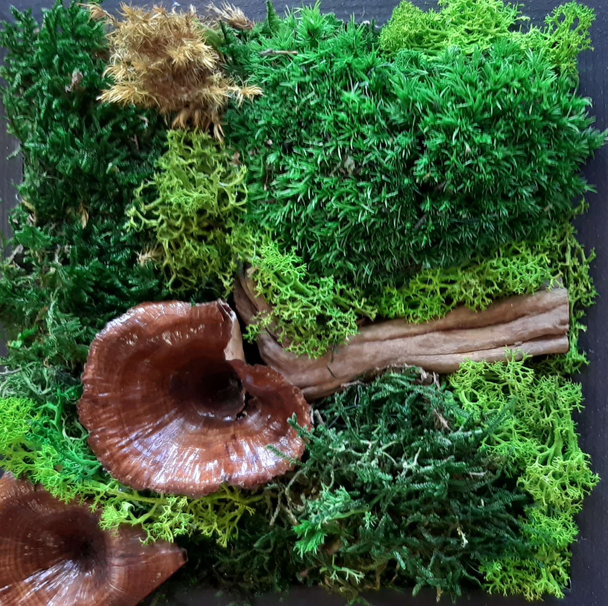 Titus Schwan Kunstschule Solingen Malkurse für jedes Alter