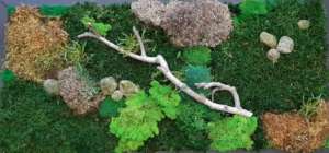 Titus Schwan Kunstschule Solingen Malkurse für jedes Alter