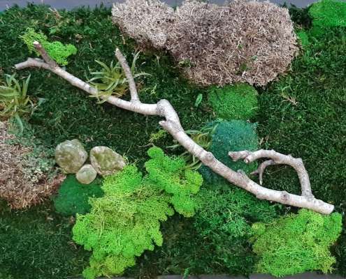 Titus Schwan Kunstschule Solingen Malkurse für jedes Alter