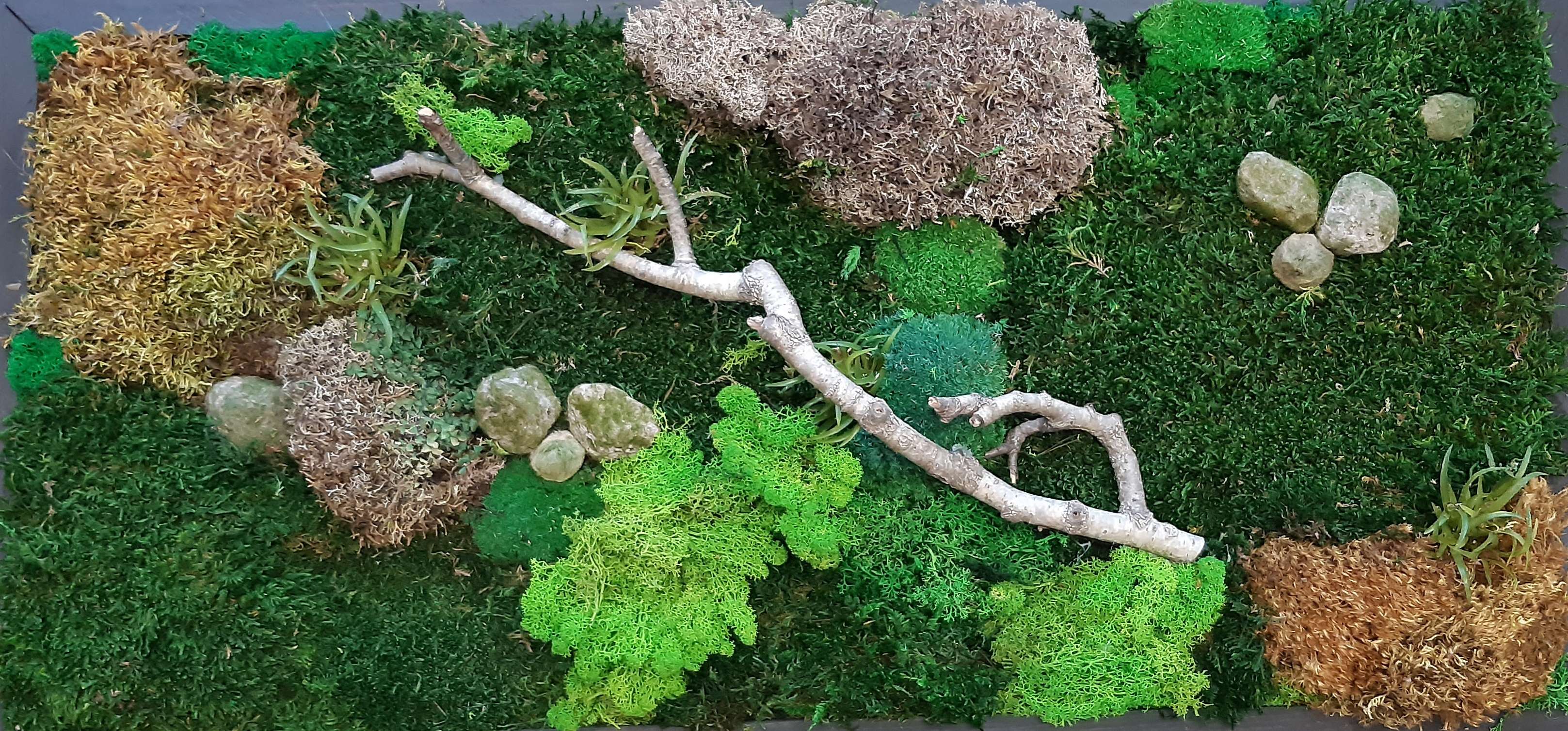 Titus Schwan Kunstschule Solingen Malkurse für jedes Alter