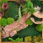 Aus dem Workshop vom 1.November 25