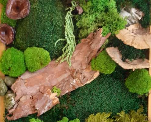 Titus Schwan Kunstschule Solingen Malkurse für jedes Alter