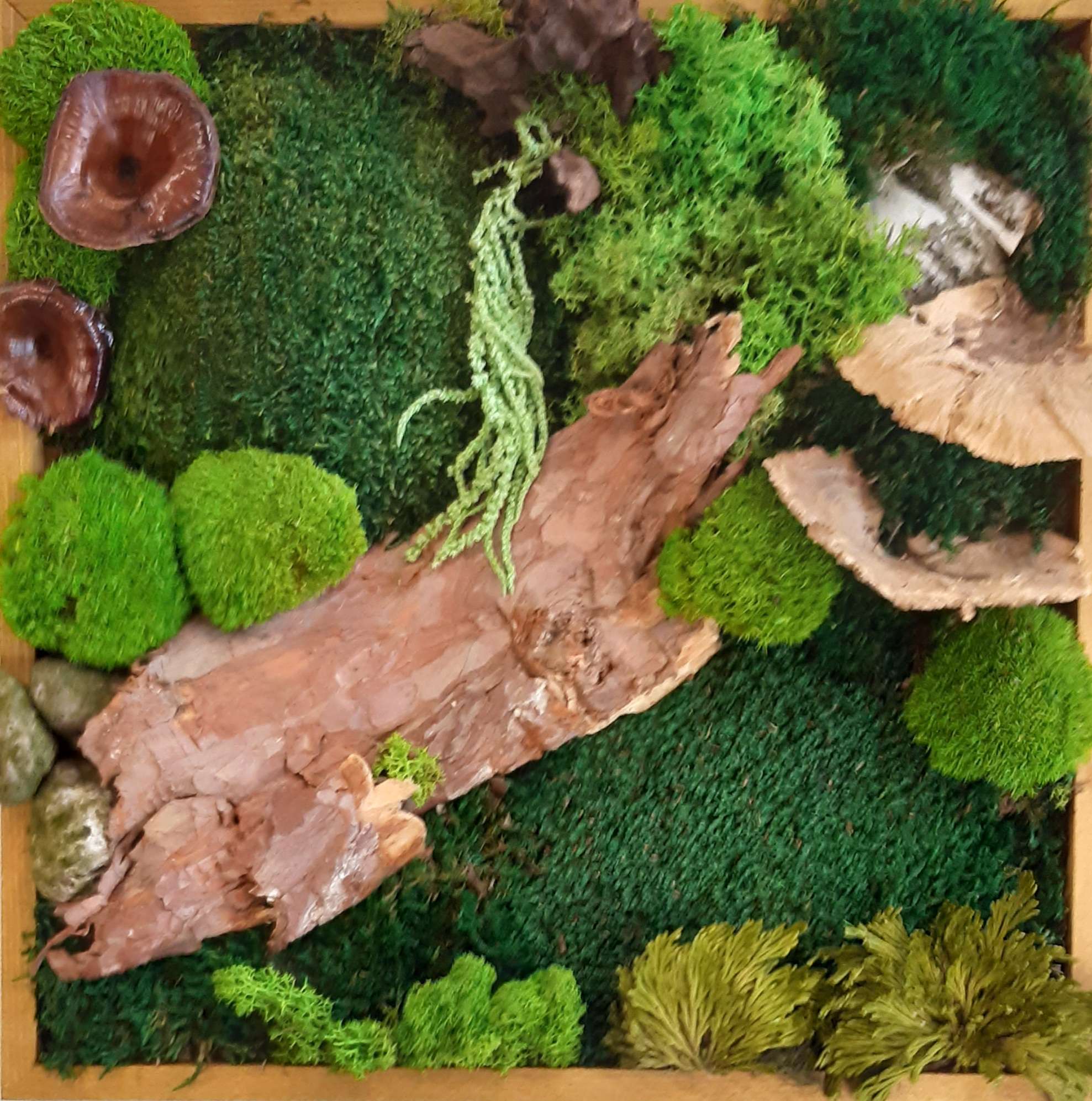 Titus Schwan Kunstschule Solingen Malkurse für jedes Alter