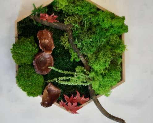 20251101_135909 Moosbilder selber machen