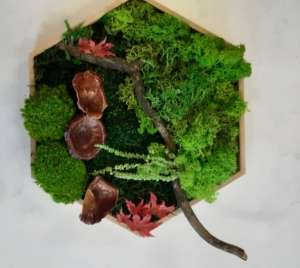 Titus Schwan Kunstschule Solingen Malkurse für jedes Alter