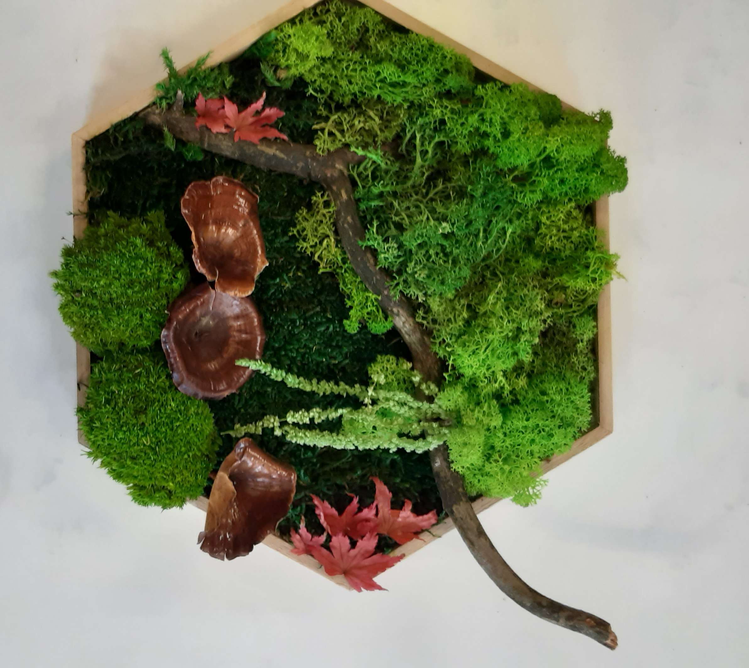 Titus Schwan Kunstschule Solingen Malkurse für jedes Alter