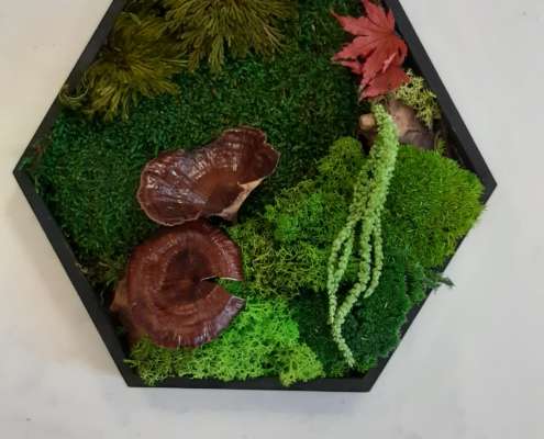 20251101_140013 Moosbilder selber machen