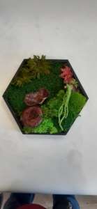 Titus Schwan Kunstschule Solingen Malkurse für jedes Alter