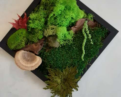 20251101_140107 Moosbilder selber machen