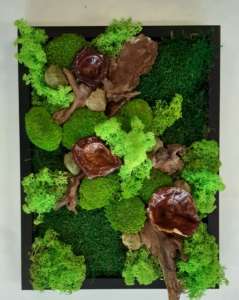 Moosbilder selber machen. Workshop 01.11.25 bei Titus Schwan Kunstschule Solöingen