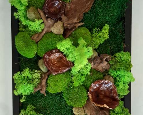 Moosbilder selber machen. Workshop 01.11.25 bei Titus Schwan Kunstschule Solöingen