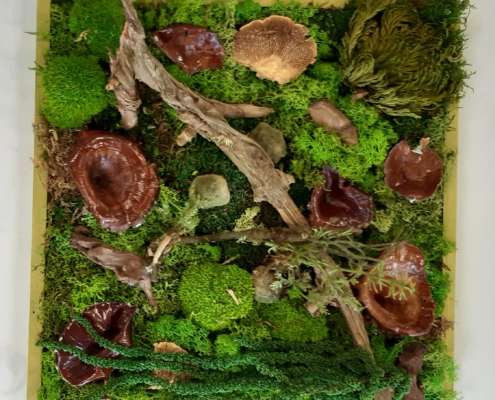 20251101_140258 Moosbilder selber machen