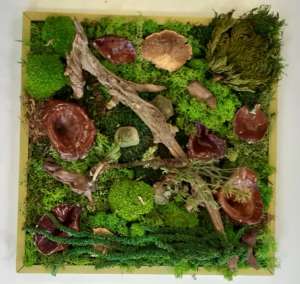 Titus Schwan Kunstschule Solingen Malkurse für jedes Alter