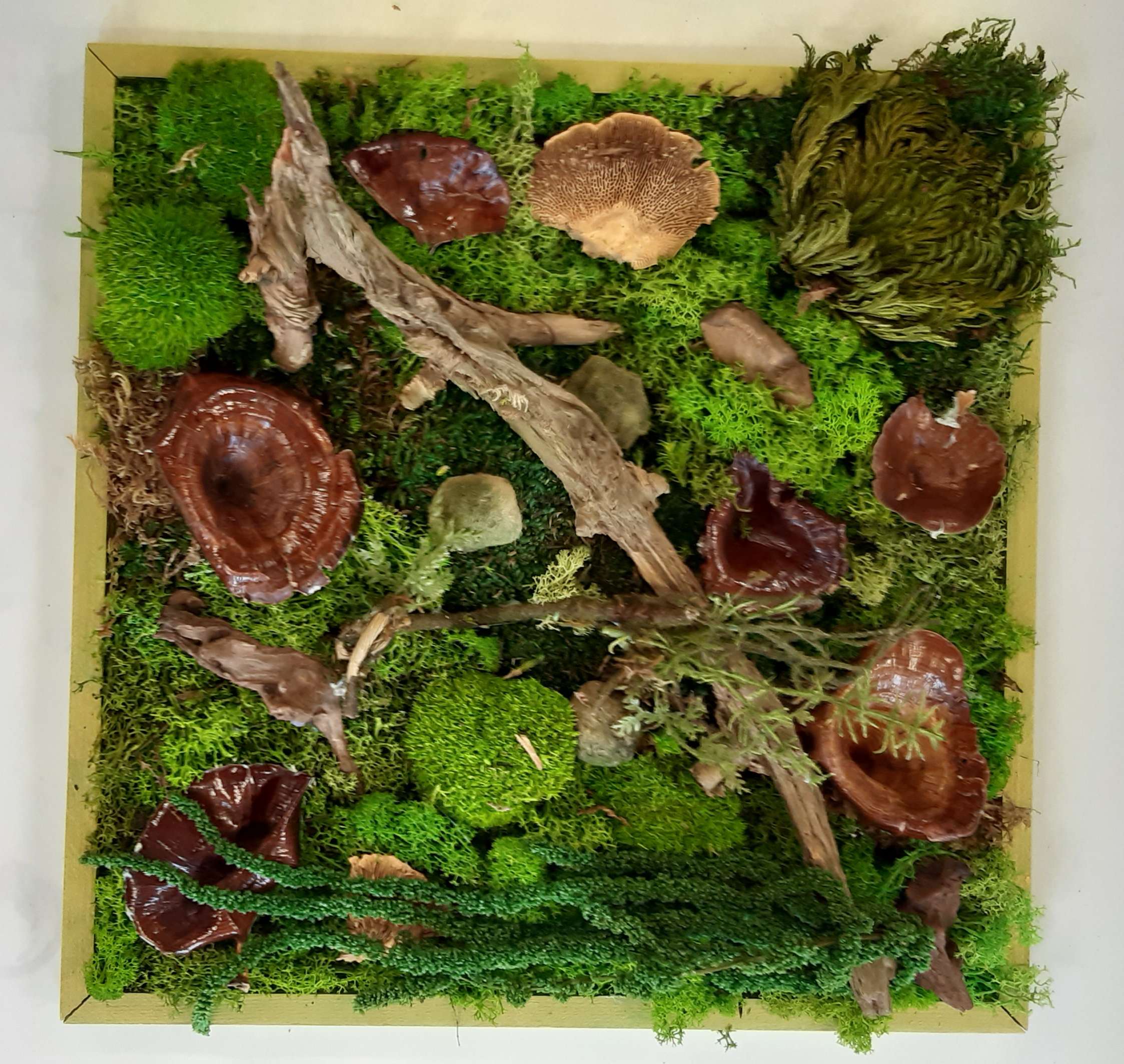 Titus Schwan Kunstschule Solingen Malkurse für jedes Alter