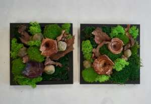 Gutschein Moosbilder selber machen in Solingen