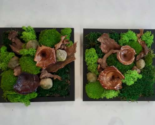 20251101_140347 Moosbilder selber machen