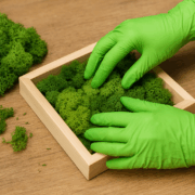 Handschuhe tragen, wenn du Moosbilder selber machen willst