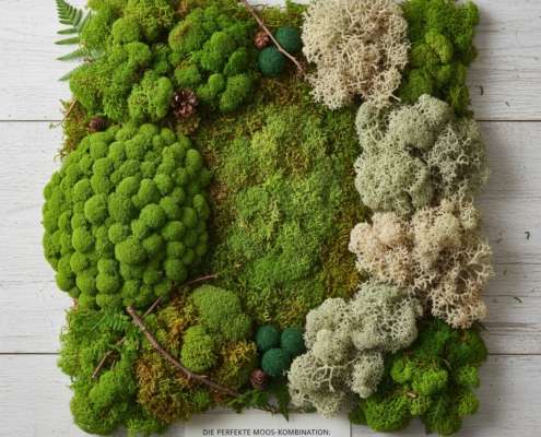 Moosbild selber machen